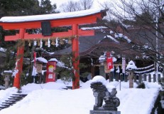 雪の藤島神社